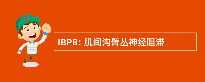 IBPB: 肌间沟臂丛神经阻滞