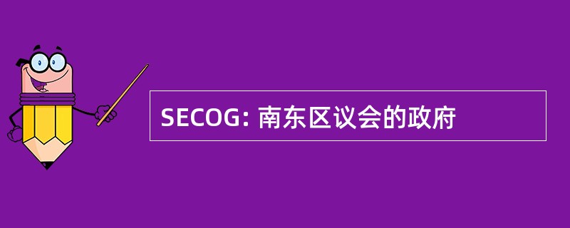 SECOG: 南东区议会的政府