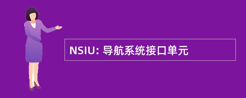 NSIU: 导航系统接口单元