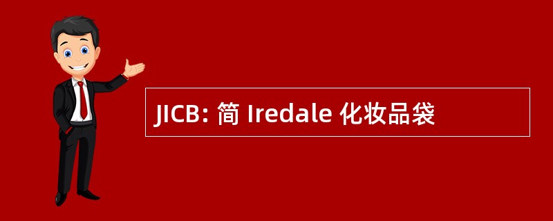 JICB: 简 Iredale 化妆品袋