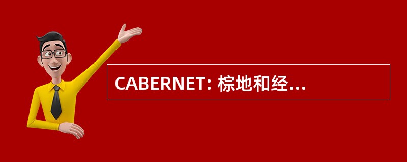 CABERNET: 棕地和经济再生网络协调一致的行动