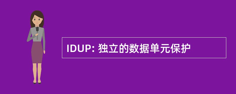 IDUP: 独立的数据单元保护