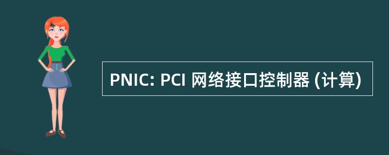 PNIC: PCI 网络接口控制器 (计算)