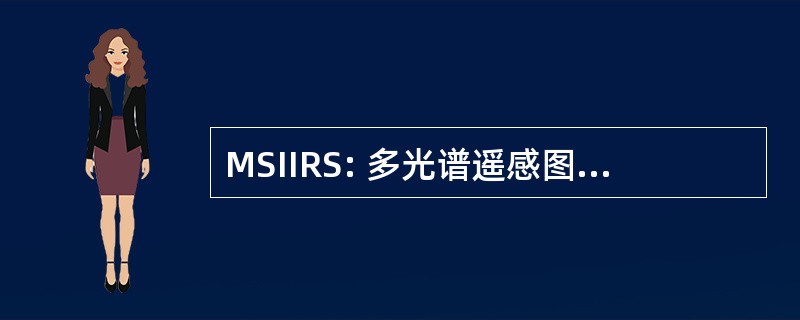 MSIIRS: 多光谱遥感图像解释评定量表