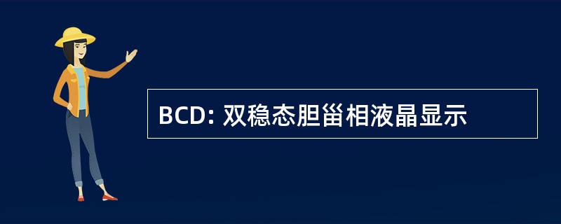 BCD: 双稳态胆甾相液晶显示