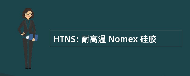 HTNS: 耐高温 Nomex 硅胶