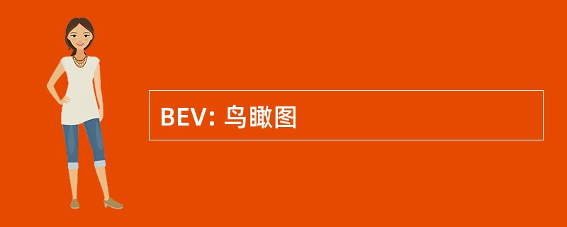 BEV: 鸟瞰图