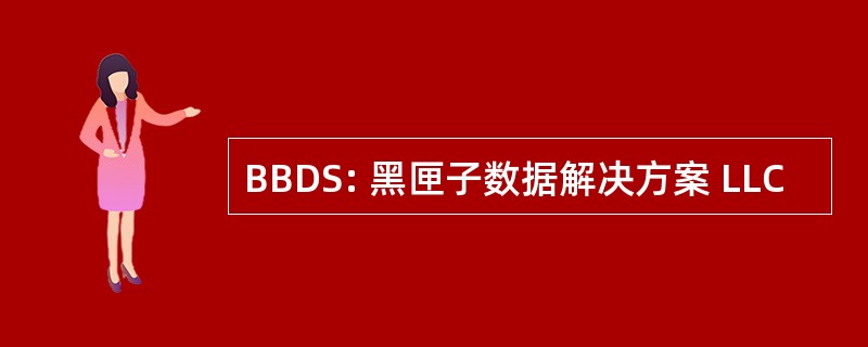 BBDS: 黑匣子数据解决方案 LLC