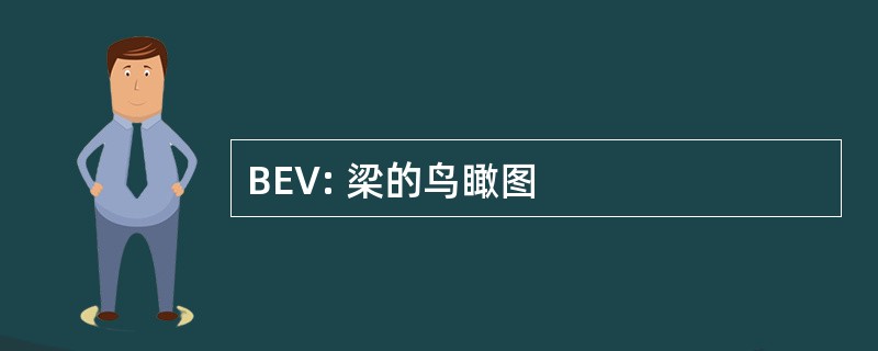 BEV: 梁的鸟瞰图