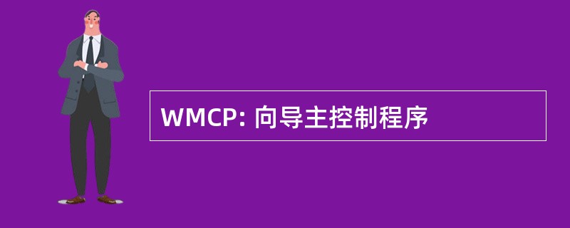 WMCP: 向导主控制程序