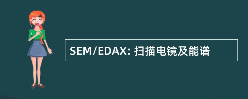 SEM/EDAX: 扫描电镜及能谱