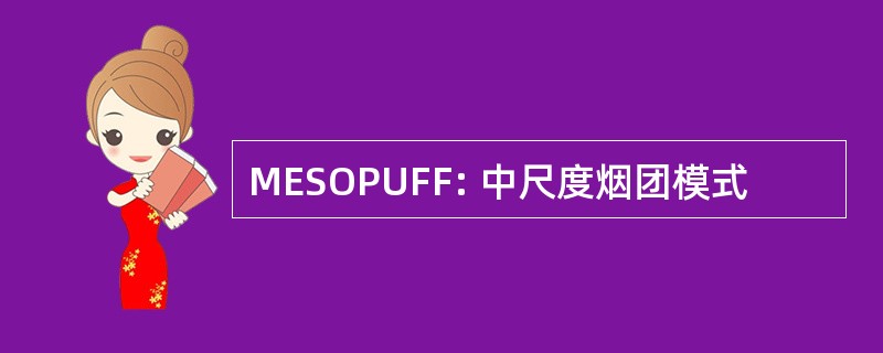 MESOPUFF: 中尺度烟团模式