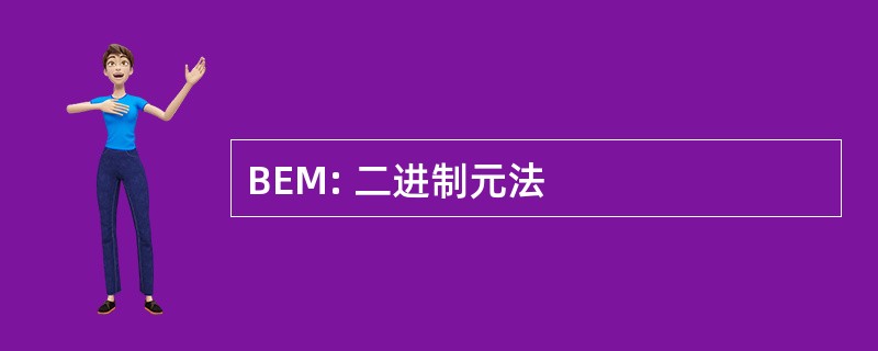 BEM: 二进制元法