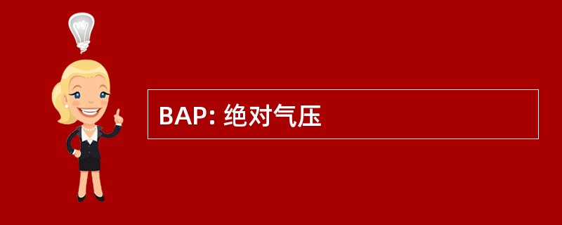 BAP: 绝对气压