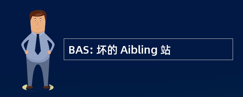 BAS: 坏的 Aibling 站