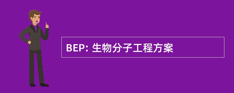 BEP: 生物分子工程方案