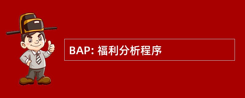 BAP: 福利分析程序