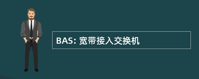 BAS: 宽带接入交换机