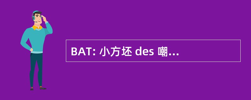 BAT: 小方坯 des 嘲讽 de ThÃ © 读者