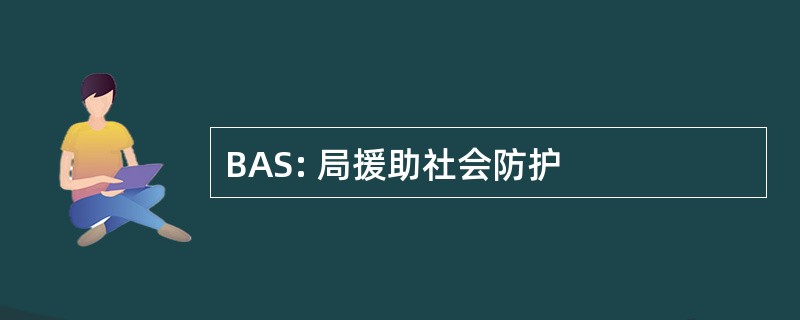 BAS: 局援助社会防护