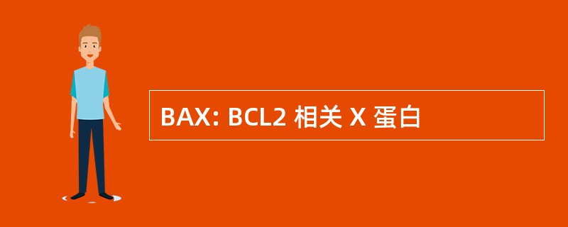 BAX: BCL2 相关 X 蛋白