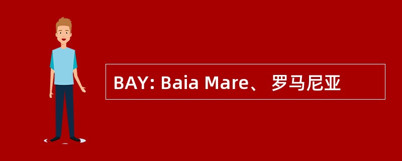 BAY: Baia Mare、 罗马尼亚