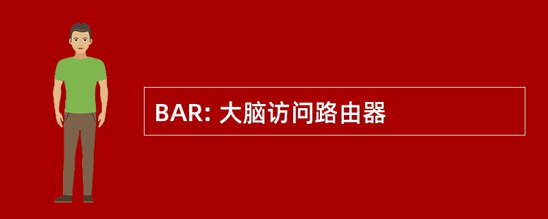 BAR: 大脑访问路由器