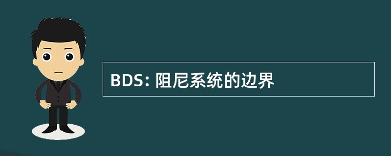 BDS: 阻尼系统的边界