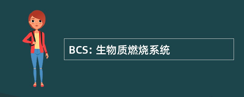 BCS: 生物质燃烧系统