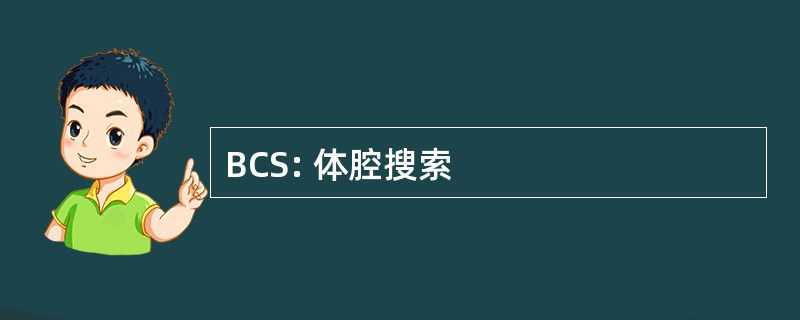 BCS: 体腔搜索