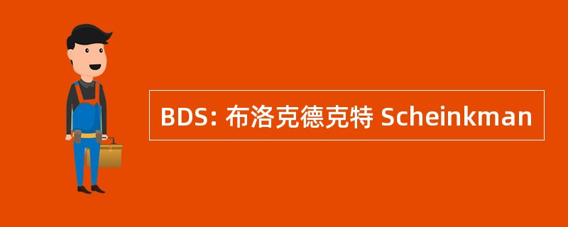 BDS: 布洛克德克特 Scheinkman