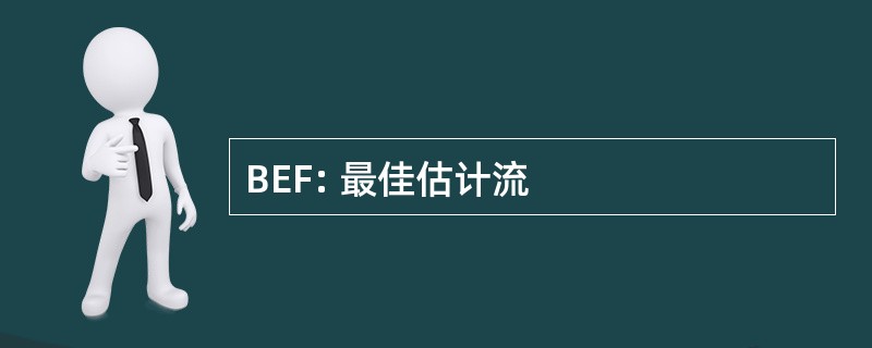 BEF: 最佳估计流