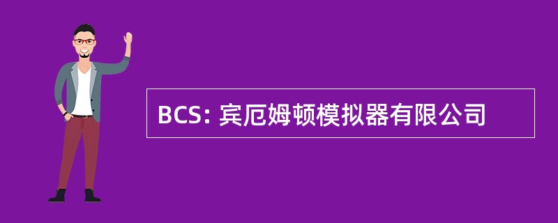 BCS: 宾厄姆顿模拟器有限公司