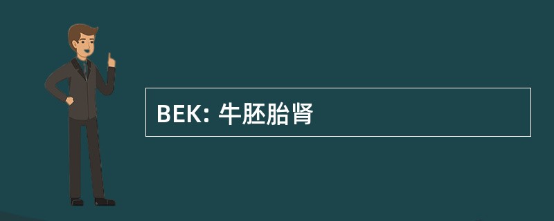 BEK: 牛胚胎肾