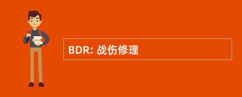 BDR: 战伤修理