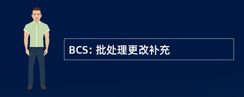 BCS: 批处理更改补充