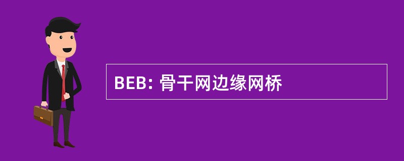 BEB: 骨干网边缘网桥