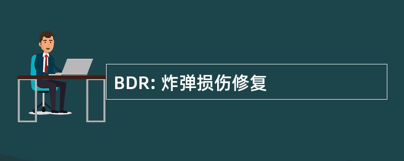 BDR: 炸弹损伤修复