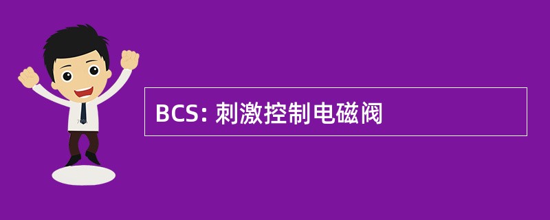 BCS: 刺激控制电磁阀