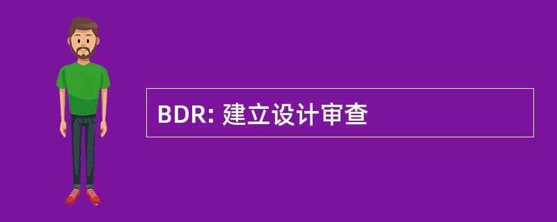 BDR: 建立设计审查