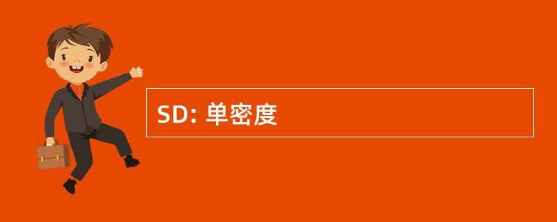 SD: 单密度