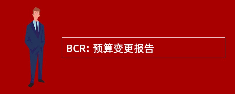 BCR: 预算变更报告