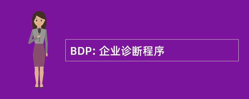 BDP: 企业诊断程序