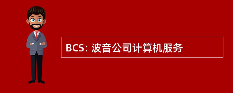 BCS: 波音公司计算机服务