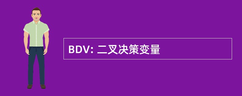 BDV: 二叉决策变量