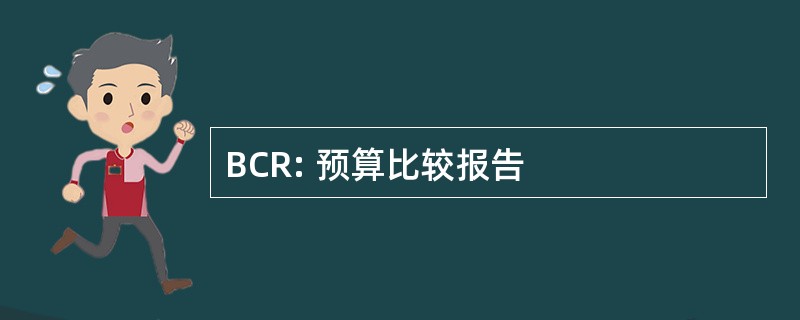 BCR: 预算比较报告