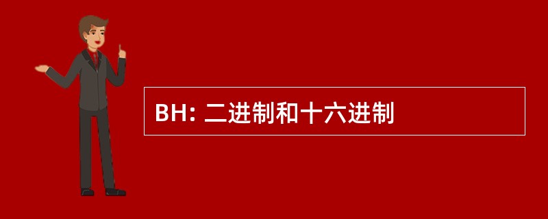 BH: 二进制和十六进制