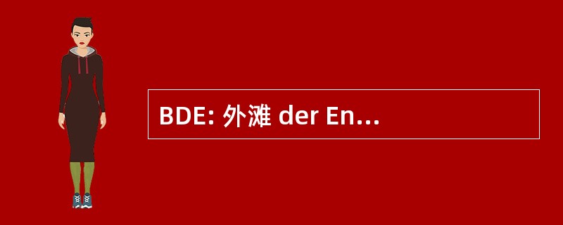 BDE: 外滩 der Energieverbraucher