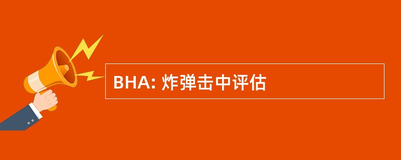 BHA: 炸弹击中评估