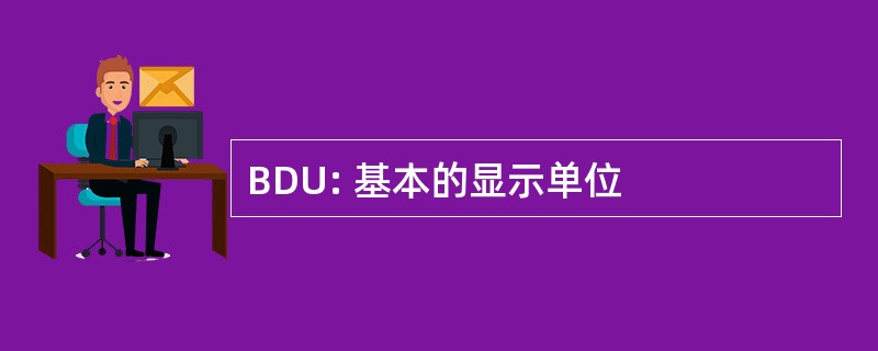 BDU: 基本的显示单位